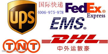 深圳国际快递DHL上门取件,服务优惠价格及规格型号